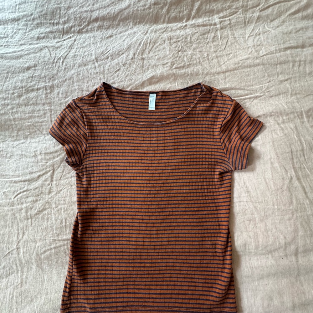 American Apparel Striped Brown and Black T-Shirt